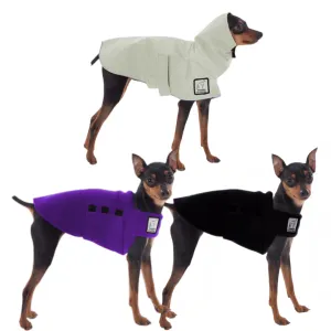 Miniature Pinscher Fall Essentials Bundle