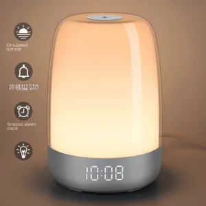 Sleep Simulation Sunrise Wake-up Light Alarm Clock Wholesale Simple Silent Touch Bedside Usb Colorful Night Light Romantic